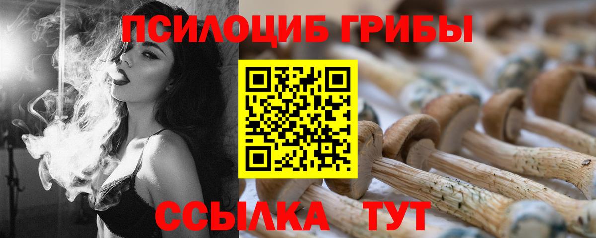 Ржев  Галлюциногенные грибы Cubensis  Галлюциногенные грибы Cubensis  Вход с VPN 