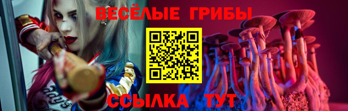 Псилоцибиновые грибы ЛСД Ржев